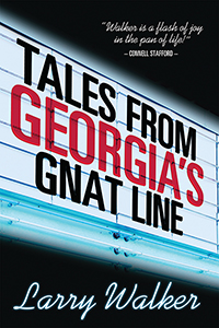 Tales from Georgia&#39;s Gnat Line